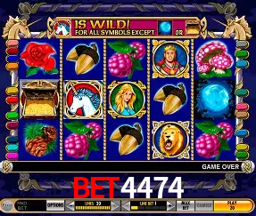 Descubra o Mundo do Cassino Online com bet4474